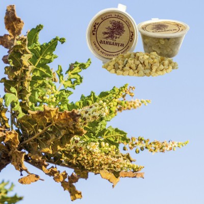 Olibanum resin Diveevo, 20 g